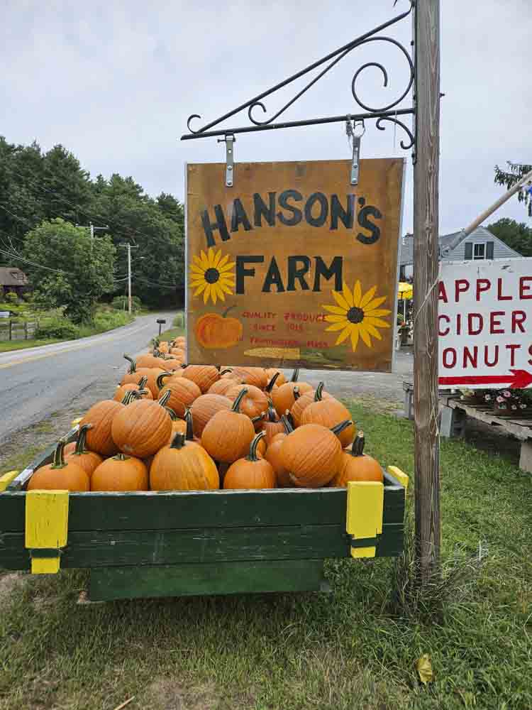 Hanson's Farm sign with pumpkins in front, also a sign for cider donuts